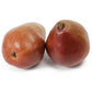 Red D'Anjou Pear Tree