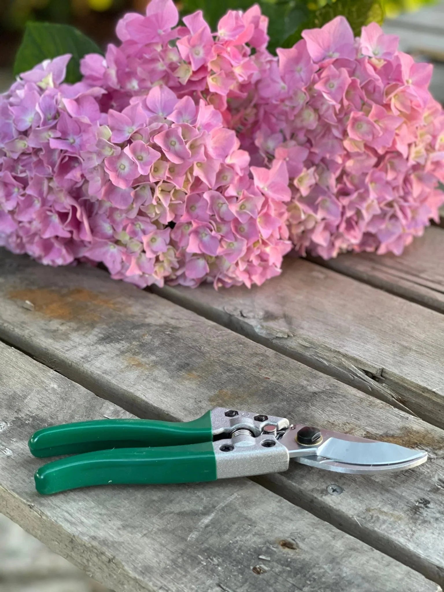 Rose Gardener Gift Box | Rose Gloves, Belt & Pruners The Celtic Farm