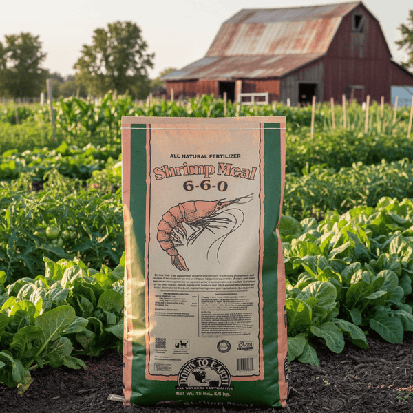 fertilizer for shrimp plant Down To Earth - Shrimp Meal 6-6-0