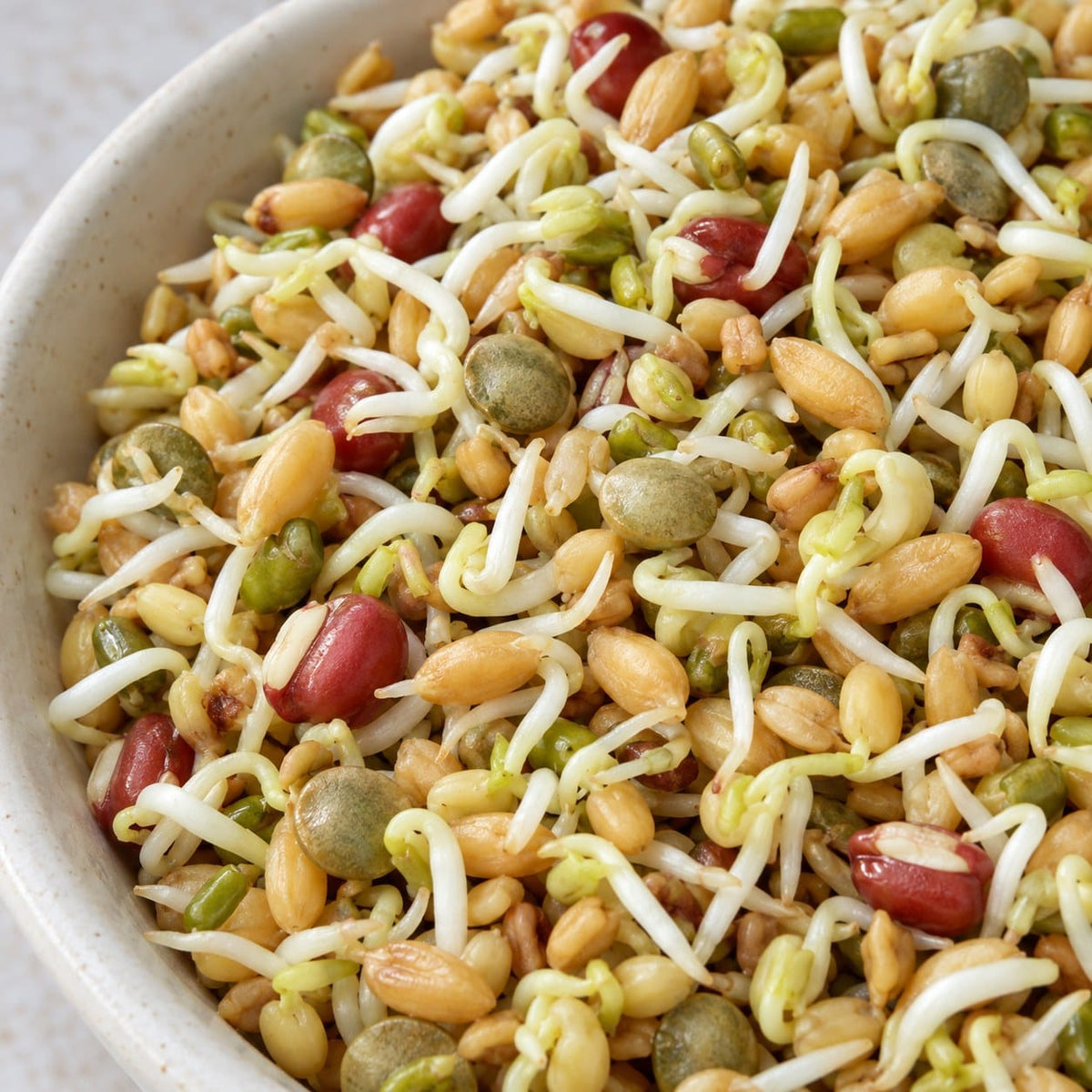 Organic Ancient Eastern Sprouting Seed Blend (4 oz) High Mowing Seeds