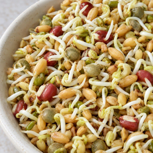 Organic Ancient Eastern Sprouting Seed Blend (4 oz) High Mowing Seeds