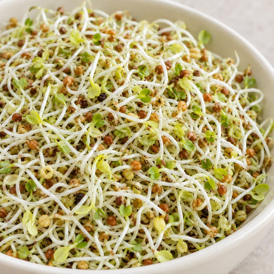 Organic Sandwich Booster Sprouting Seed Mix (3 oz) High Mowing Seeds