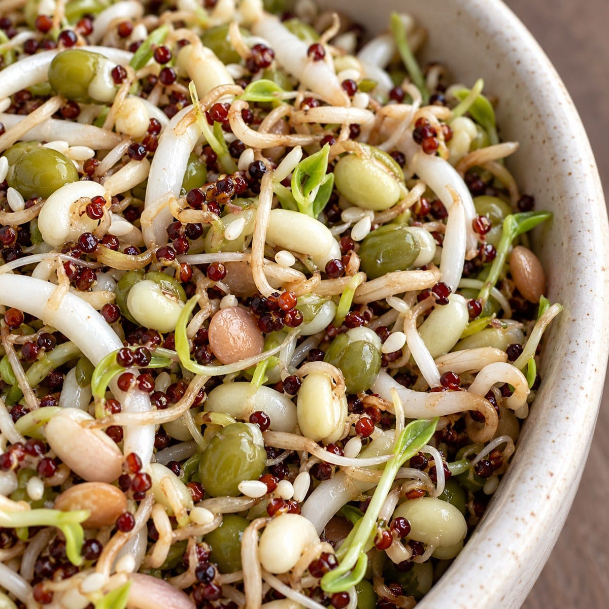Organic Salad Bowl Blend Sprouting Seeds (4 oz) High Mowing Seeds