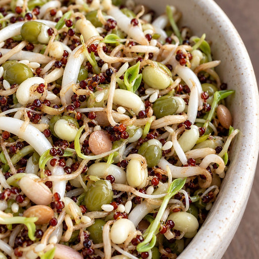 Organic Salad Bowl Blend Sprouting Seeds (4 oz) High Mowing Seeds