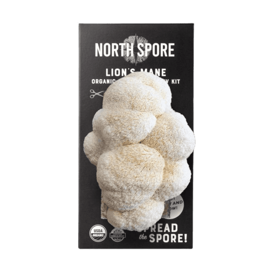 Organic Lion's Mane ‘Spray & Grow’ Mushroom Growing Kit North Spore