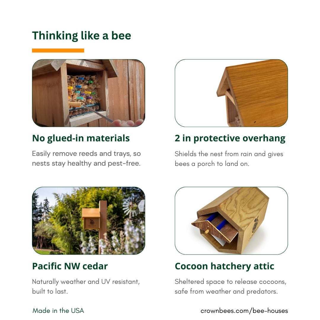 Chalet Cedar Bee House CrownBees