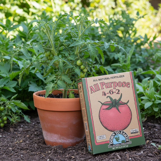 Down to Earth All Purpose Mix 4-6-2 (5 lb Box) Down to Earth