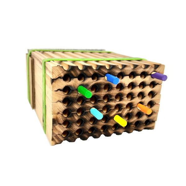 Bee Wayfinders - Mason Bees CrownBees