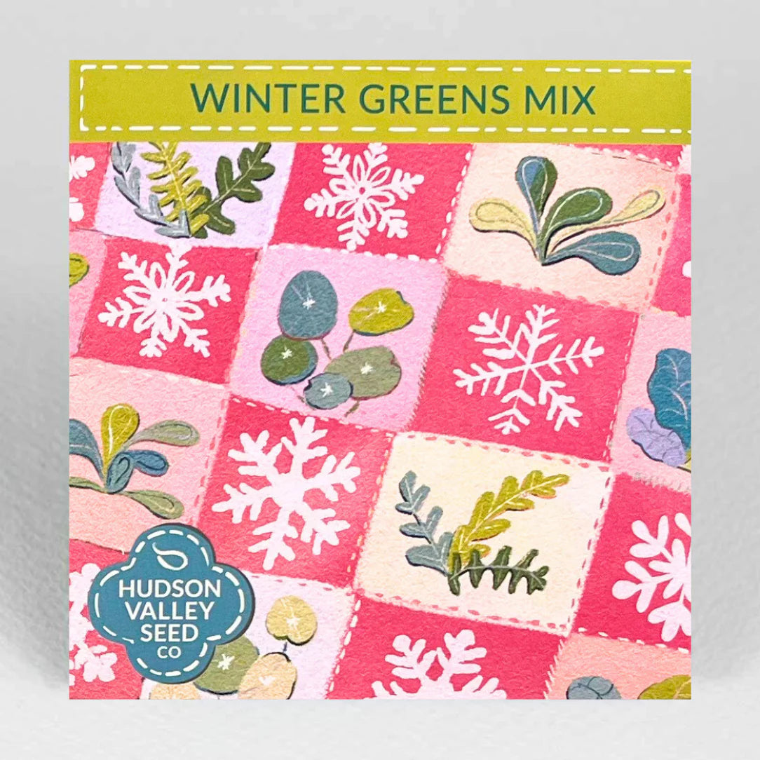Winter Greens Seeds Mix (Organic) Hudson Valley Seed Co