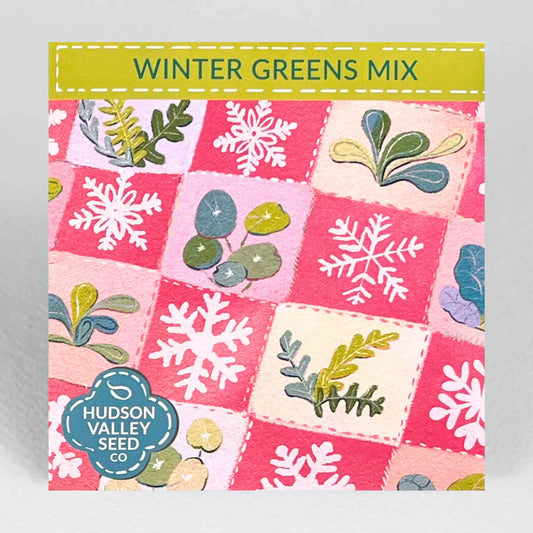 Winter Greens Seeds Mix (Organic) Hudson Valley Seed Co