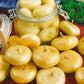Yellow Cipollini Onion Seeds (Organic) - Grow Organic Yellow Cipollini Onion Seeds (Organic) Vegetable Seeds