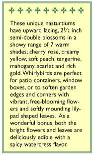 Renee's Garden Nasturtium Rainbow Whirlybird Mix Renee's Garden Nasturtium Rainbow Whirlybird Mix Flower Seed & Bulbs