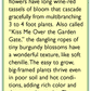 Renee's Garden Amaranth Love Lies Bleeding (Heirloom) Renee's Garden Amaranth Love Lies Bleeding (Heirloom) Flower Seed & Bulbs