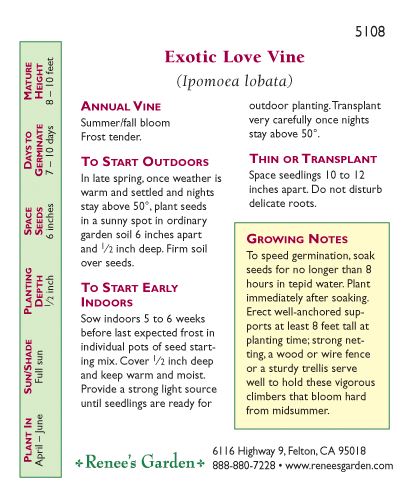 flower seed soaking chart 'Exotic Love Vine' Heirloom Mina Lobata