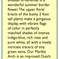 Renee's Garden Salvia Butterfly Marble Arch - Grow Organic Renee's Garden Salvia Butterfly Marble Arch Flower Seed & Bulbs