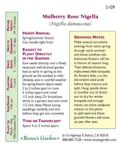 Renee's Garden Nigella Love In A Mist Mulberry Rose Renee's Garden Nigella Love In A Mist Mulberry Rose Flower Seed & Bulbs