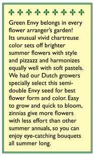 Renee's Garden Zinnia Green Envy (Heirloom) - Grow Organic