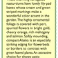 Renee's Garden Nasturtium Alaska Mix (Heirloom) Renee's Garden Nasturtium Alaska Mix (Heirloom) Flower Seed & Bulbs