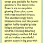 Renee's Garden Sweet Pea Electric Blue - Grow Organic Renee's Garden Sweet Pea Electric Blue Flower Seed & Bulbs