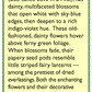 Renees Garden Nigella Love In A Mist Persian Violet Renee's Garden Nigella Love In A Mist Persian Violet (Heirloom) Flower Seed & Bulbs