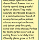 Renee's Garden Snapdragon Butterfly Chantilly - Grow Organic Renee's Garden Snapdragon Butterfly Chantilly Flower Seed & Bulbs