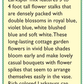 Renee's Garden Larkspur Bouquet Singing the Blues Renee's Garden Larkspur Bouquet Singing the Blues Flower Seed & Bulbs