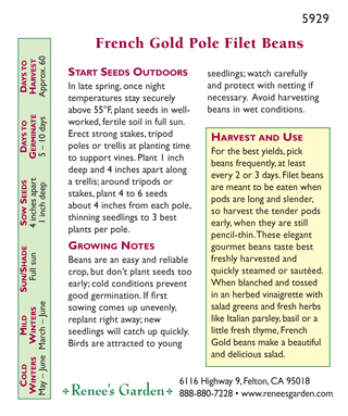 Renee's Garden Bean Pole French Gold Filet - Grow Organic Renee's Garden Bean Pole French Gold Filet Vegetable Seeds