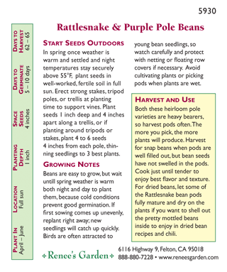 Rattlesnake Ice & Purple Pod Pole Bean Seed Mix - Grow Organic