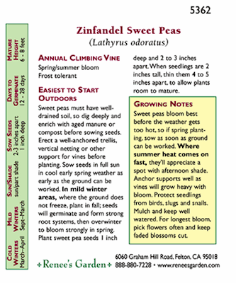Renee's Garden Sweet Pea Zinfandel - Grow Organic Renee's Garden Sweet Pea Zinfandel Flower Seed & Bulbs