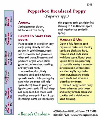 Renee's Garden Poppy Pepperbox (Heirloom) - Grow Organic Renee's Garden Poppy Pepperbox (Heirloom) Herb Seeds