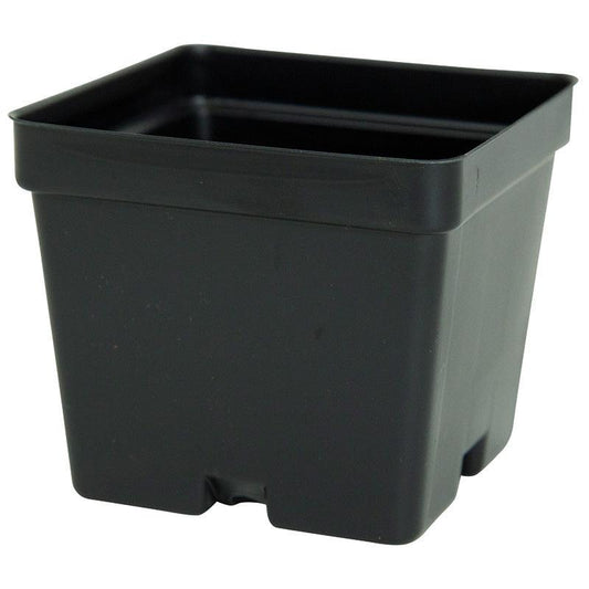 Square Plastic Pots - 4" Grow Organic