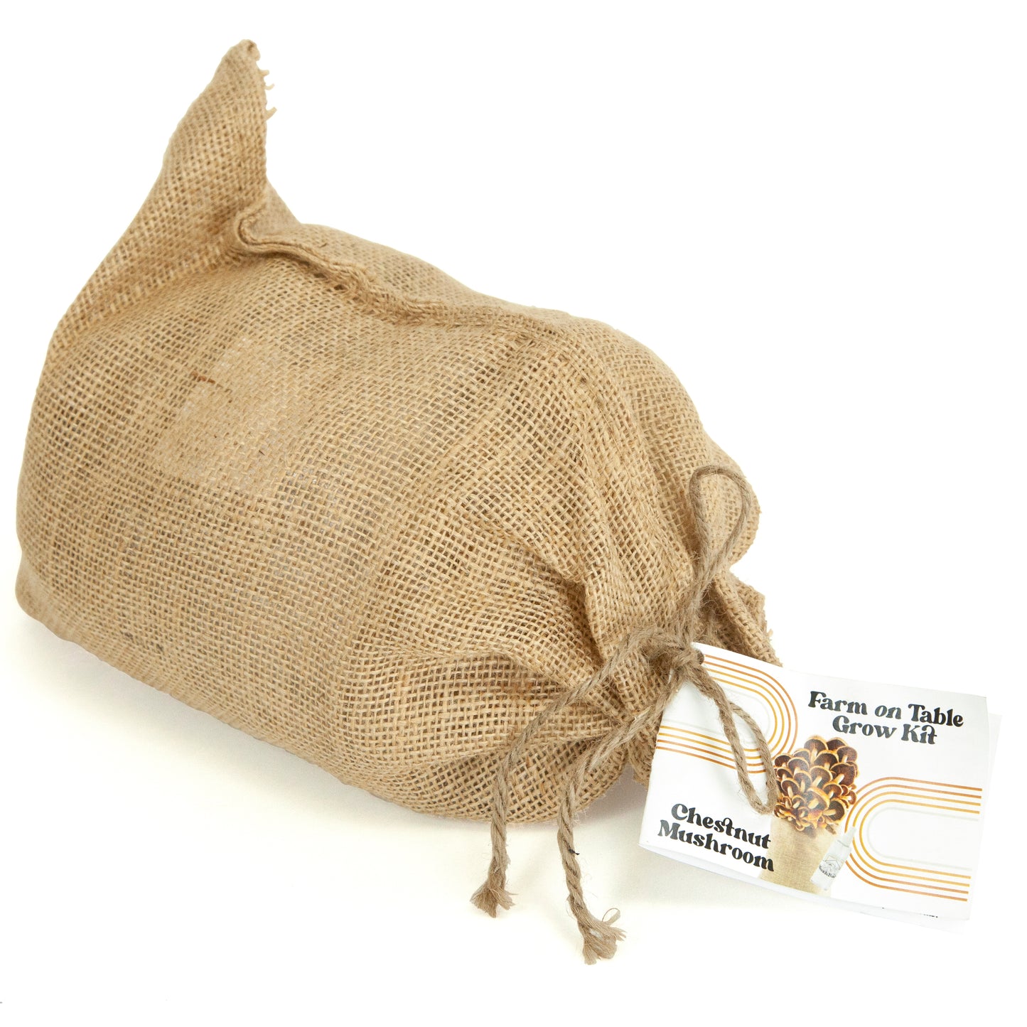 Mushbarn Chestnut Mushroom Farm on Table Grow Kit burlap sack with tag on white background.