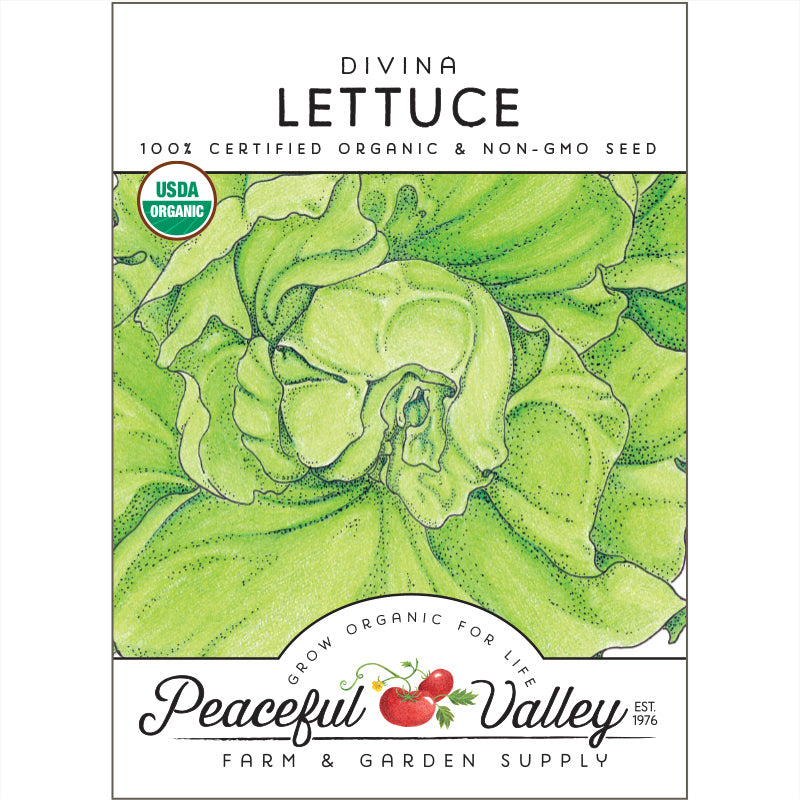 Organic Divina Lettuce from $3.99 - Grow Organic Divina Lettuce Seeds (Organic) Vegetable Seeds