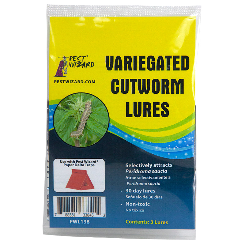 Pest Wizard Variegated Cutworm Lures 3-pack package front on white background.