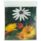 BUGS in the PANTRY? 2-PAK Floral Delight – Grow Organic BUGS in the PANTRY? 2-PAK Floral Delight Weed and Pest