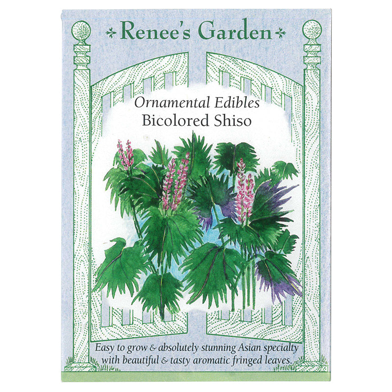 Renee's Garden Bicolor Shiso - Grow Organic Renee's Garden Bicolor Shiso 