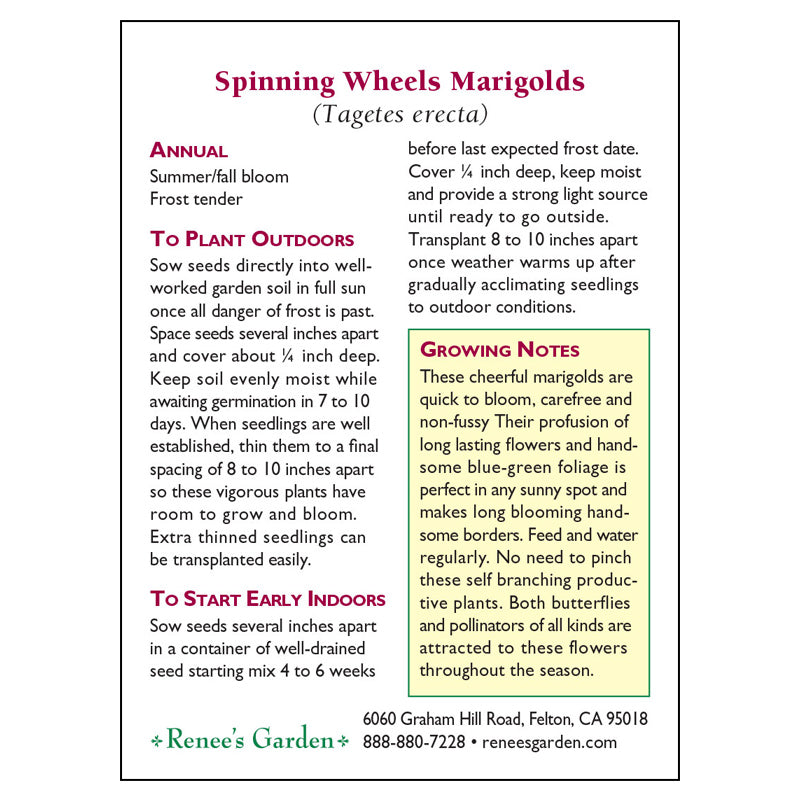 Renee's Garden Spinning Wheels Marigolds - Grow Organic Renee's Garden Spinning Wheels Marigolds Flower Seed & Bulbs