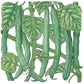 Blue Lake Bush Bean Seeds (Organic) - Grow Organic Blue Lake Bush Bean Seeds (Organic) Vegetable Seeds