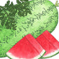 Crimson Sweet Watermelon Seeds (Organic) - Grow Organic Crimson Sweet Watermelon Seeds (Organic) Vegetable Seeds