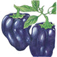 Purple Beauty Sweet Pepper Seeds (Organic) - Grow Organic Purple Beauty Sweet Pepper Seeds (Organic) Vegetable Seeds