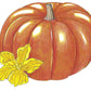 Cinderella Pumpkin Seeds (Organic) - Grow Organic Cinderella Pumpkin Seeds (Organic) Vegetable Seeds