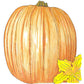 Howden Pumpkin Seeds (Organic) - Grow Organic Howden Pumpkin Seeds (Organic) Vegetable Seeds