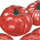 Brandywine Tomato Seeds (Organic) - Grow Organic Brandywine Tomato Seeds (Organic) Vegetable Seeds