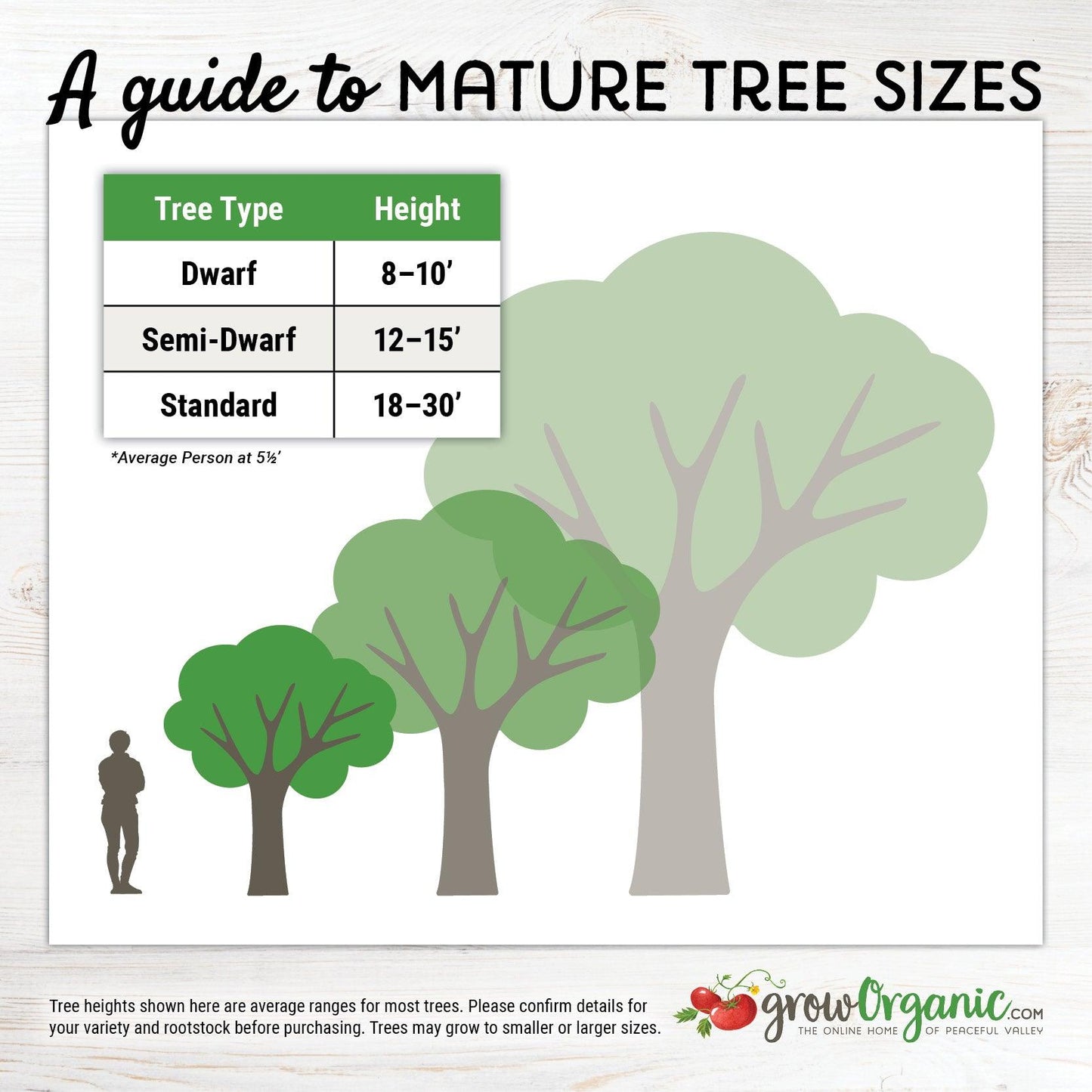 Western "Fruit Salad" 3 on 1 Multiple Grafted Fruit Tree