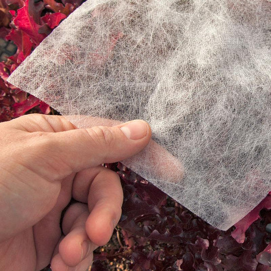Agribon AG-15 Insect Barrier (19' X 2000) - Early Buy Special Agribon (Early Buy)