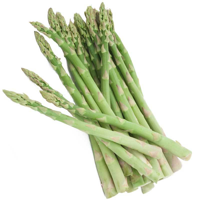 Asparagus Mary Washington (Bundle of 10) - Grow Organic Asparagus Mary Washington (Bundle of 10) Vegetable Crowns
