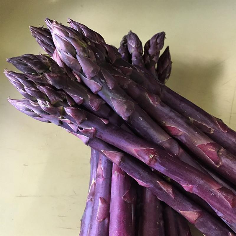 Asparagus Sweet Purple (Bundle of 10) - Grow Organic Asparagus Sweet Purple (Bundle of 10) Vegetable Crowns