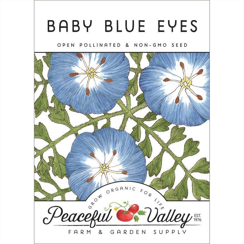 Baby Blue Eyes (pack) - Grow Organic