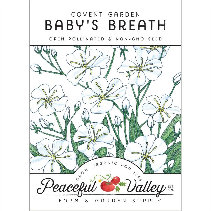 Baby's Breath (pack) - Grow Organic Baby's Breath (pack) Flower Seeds