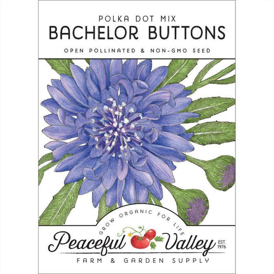 Bachelor Buttons Seed Pack Peaceful Valley